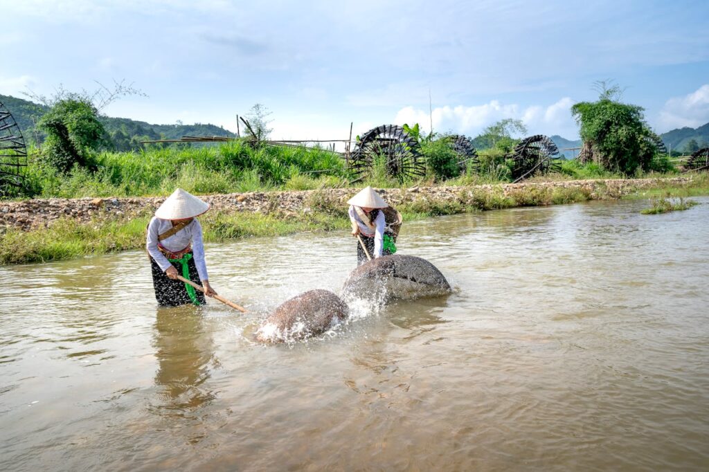 Women catching fish in shallow water